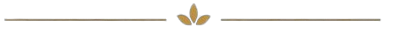 Horizontal line with center leaf-Lithia Ledger